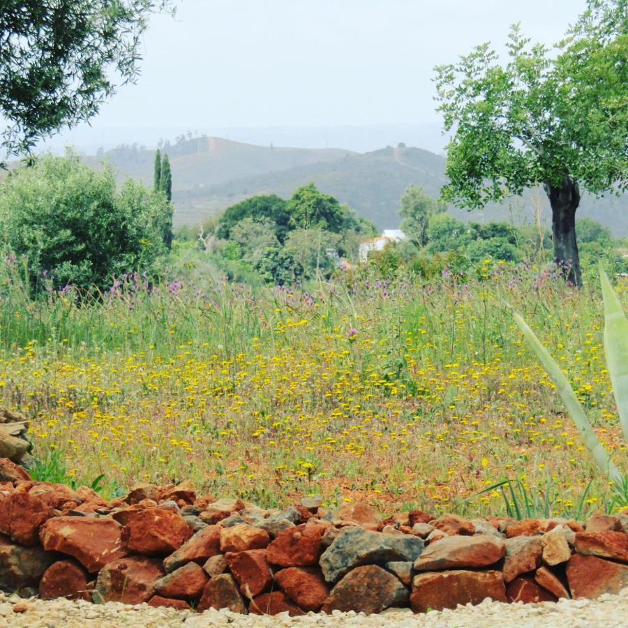 Quinta Das Piteiras-Turismo Rural Silves Εξωτερικό φωτογραφία