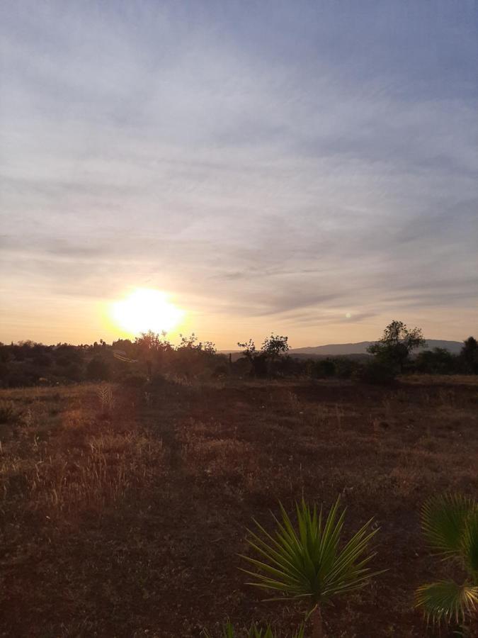 Quinta Das Piteiras-Turismo Rural Silves Εξωτερικό φωτογραφία